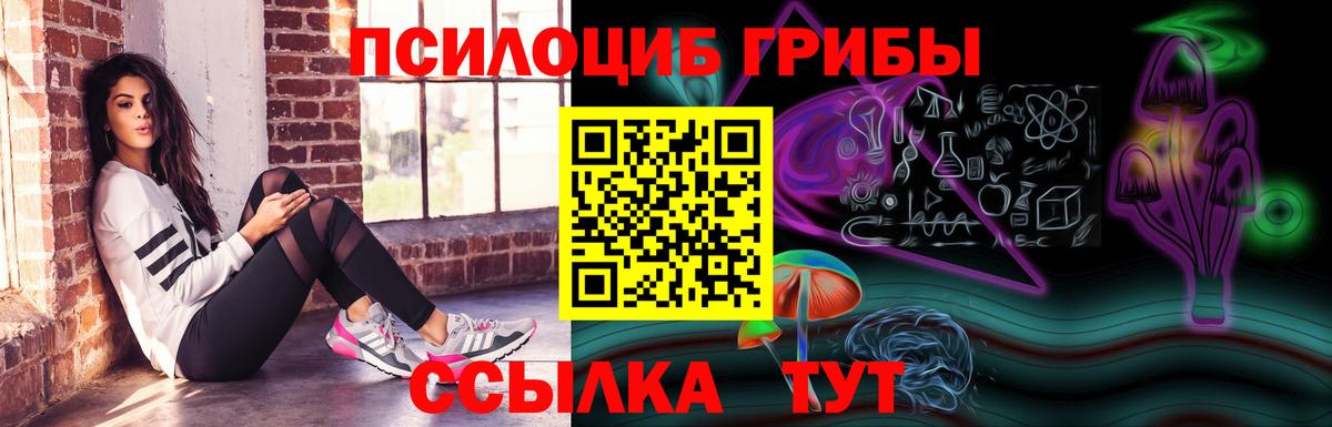 Крымск  Галлюциногенные грибы прущие грибы  Галлюциногенные грибы GOLDEN TEACHER  Вход с VPN 